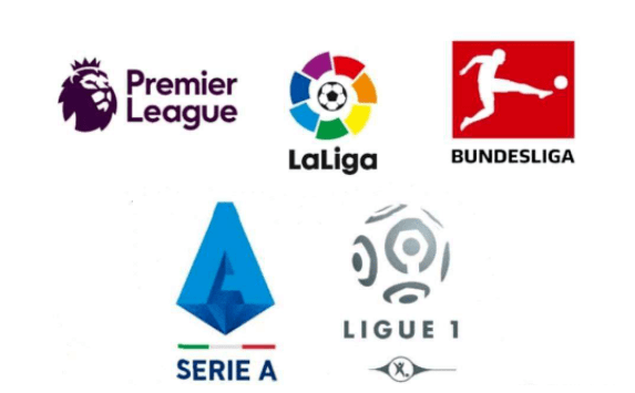 多选秀权或 多选秀权或